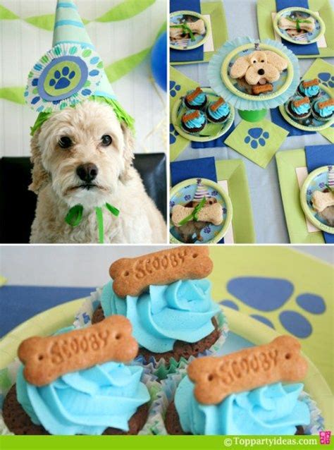 Dog Birthday Party Ideas Dog Birthday Party Puppy Birthday Parties