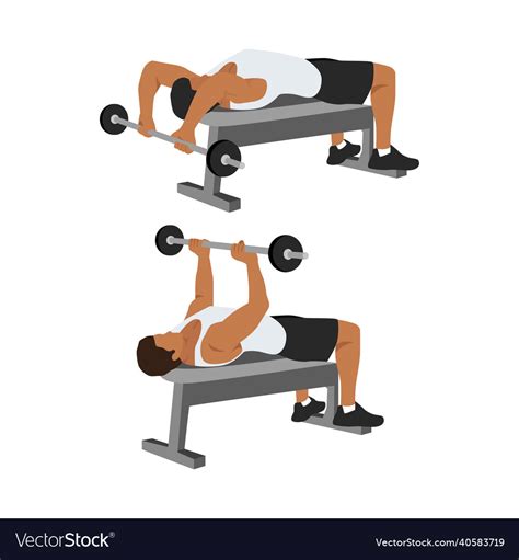 Chest Muscle Lying Overhead Extensions Royalty Free Vector
