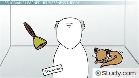 Learned Helplessness Seligmans Theory And Depression Video And Lesson