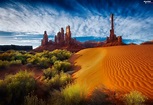 Bush, Desert, Arizona, USA, Sky, rocks - Beautiful views wallpapers ...