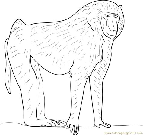 Stop by today and enjoy family style dining and fresh italian food at our local restaurants. Olive Baboon Coloring Page - Free Baboon Coloring Pages ...