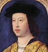 La singular muerte de Fernando II de Aragón - Granada Selected Tours