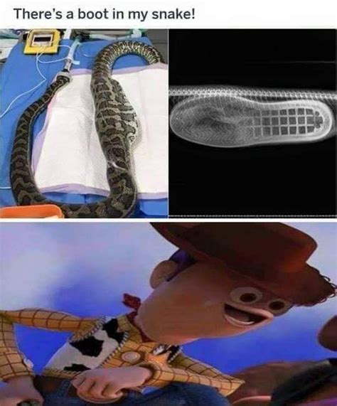 Theres A Boot In My Snake Ifunny