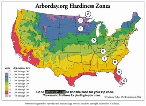 What Is Zone 7 For Gardening