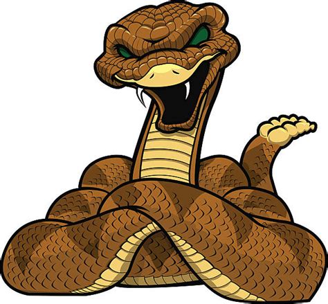 Royalty Free Rattlesnake Clip Art Vector Images And Illustrations Istock