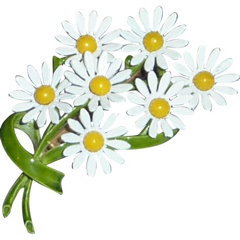 Common Daisy Flower Silhouette Clip Art Spring Forward Png Download