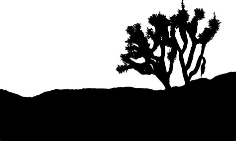 Joshua Tree National Park High Desert Morongo Basin Tree Silhouette