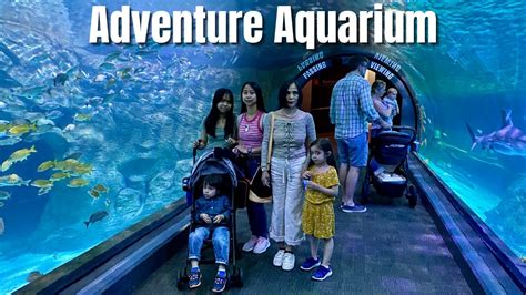 Adventure Aquarium Camden Nj Tour 2022 July 3 First Time