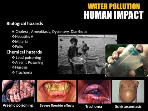Agriculture has an impact on water pollution due to the use of chemicals such as fertilizers, pesticides, fungicides, herbicides or insecticides running off in. water-pollution-human-impact-remedies-benz-jr-8-638 ...