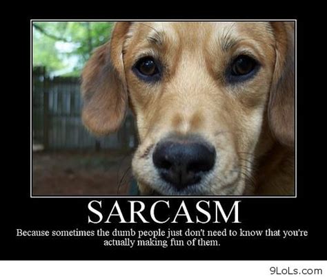 Sarcastic Quotes From Dogs Quotesgram