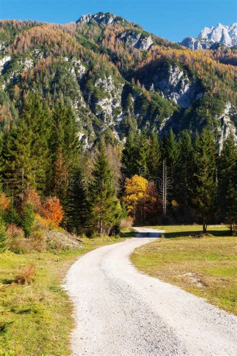 Winding Gravel Trail Through Autumn Alpine Forest With Mountains In