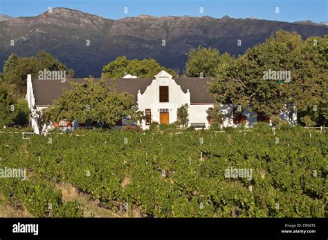 South Africa Western Cape Valley Of Franschhoek Vineyard Domain And