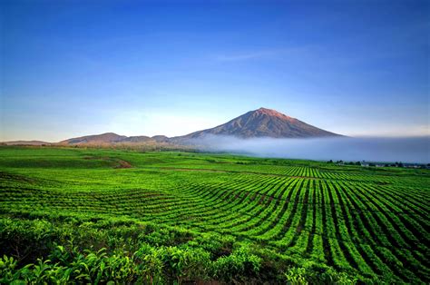 Gunung Kerinci Sumatra Indonésie Mahalocz