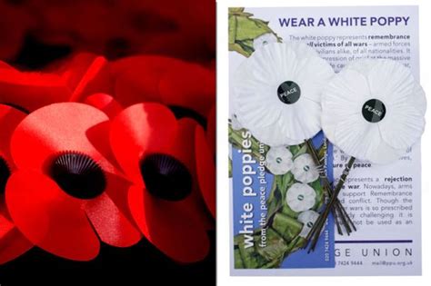 World War I Centenary One In Six Poppies Will Be Gold Leaf This Year