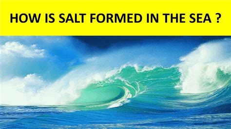 How Is Salt Formed In The Sea Why Is Sea Water Salty Science