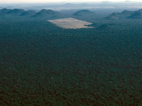 24 Photos Show The Amazon Rainforest Before And After The Devastating