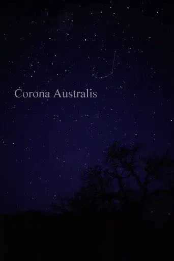 Corona Australis Constellation Fun Facts For Kids