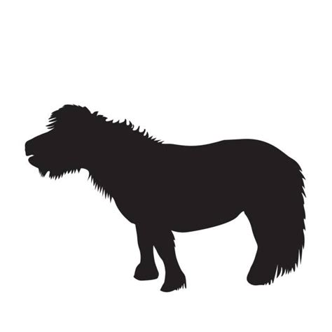 Miniature Pony Illustrations Royalty Free Vector Graphics And Clip Art