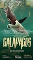 Galápagos: Paraíso en Pérdida - Película 2021 - Cine.com