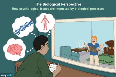 La Importancia Del Enfoque Biológico En La Psicología