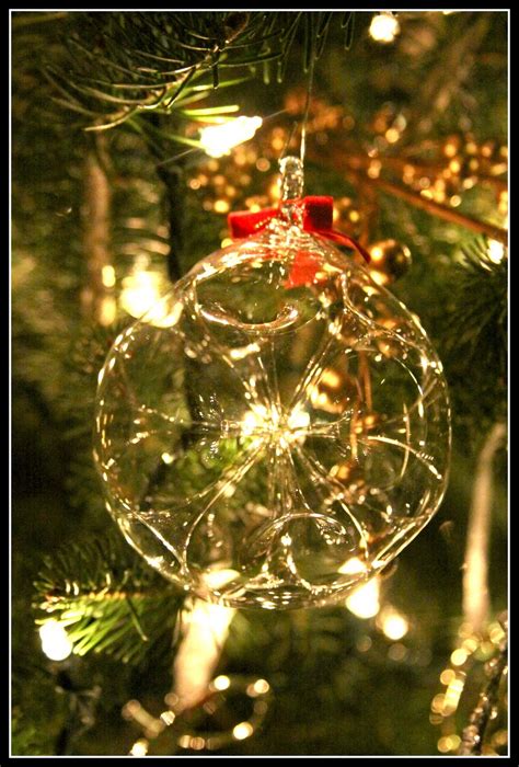 Casa De Luna Creations Oh Christmas Tree