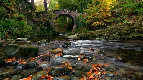 Ireland Tollymore Forest Park Park Bridge Foyles Bridge Shimna River
