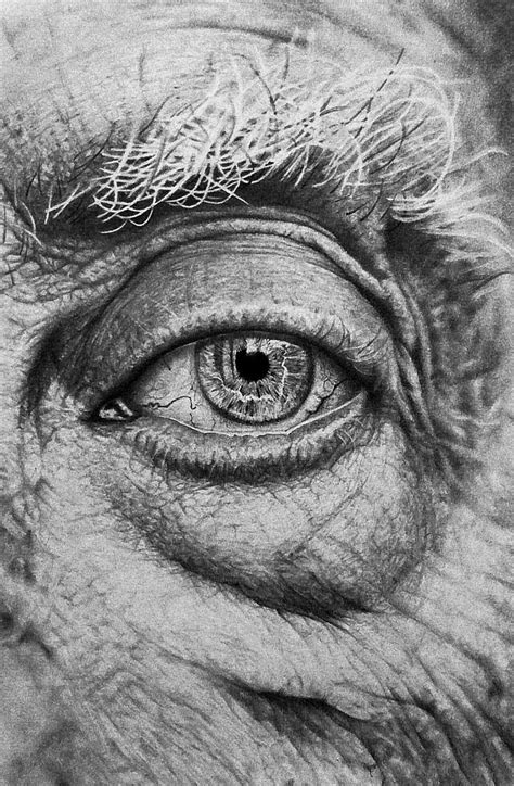 Incredible Drawings Submitted By Steve Toth Eye Drawing Old Faces