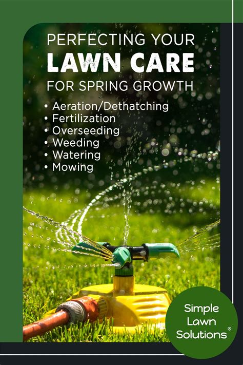 Perfecting Your Lawn Care For Spring Growth Simple Lawn Lawn Care