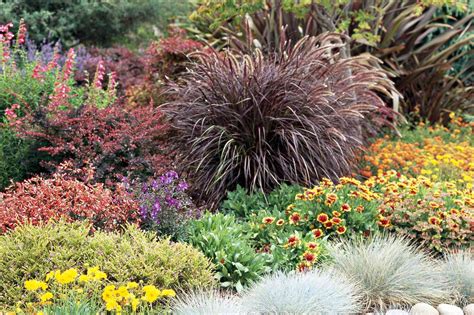 Prettiest Ornamental Grasses To Plant In Your Landscape Better Homes