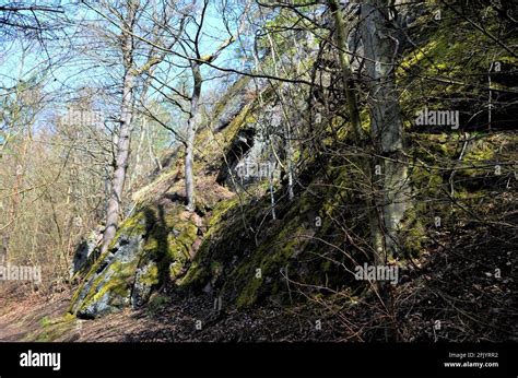 Background Of Mossy Rock Hi Res Stock Photography And Images Alamy