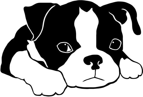 Free Boston Terrier Clipart 10 Free Cliparts Download Images On