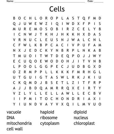 Parts Of A Cell Word Search