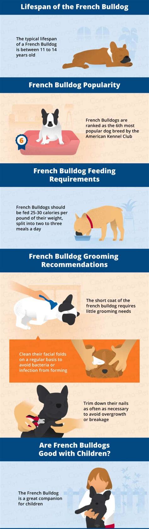 The specific problems encountered by many french bulldogs should be read and understood by anyone considering buying one the kennel club does strongly recommend that all breeders take part in the health scheme run by the french bulldog club of england. French Bulldog - Canna-Pet®
