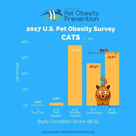 Pet Obesity General Information Infographics — Association For Pet
