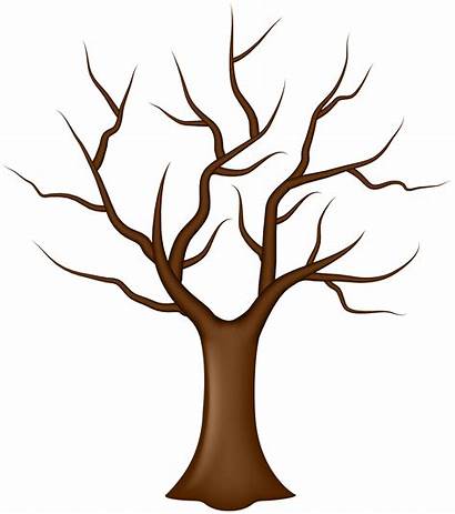 Tree Leaves Without Clip Clipart Trees Yopriceville