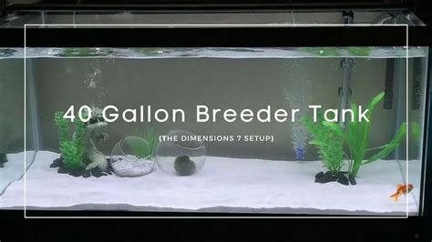 40 Gallon Tank Dimensions Bruin Blog