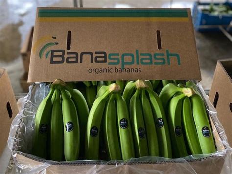 “european Demand For Organic Fairtrade Bananas Has Been Increasing”