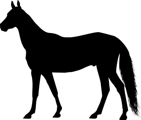 Clydesdale Horse Silhouette At Getdrawings Free Download