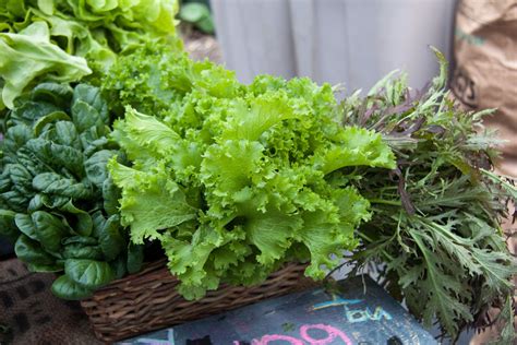 The Best Leafy Greens To Eat For Health And Healing Essentials Of