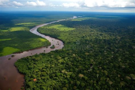 Aerial View Of The Amazonas With Dense Rainforest And Jungle Landscape