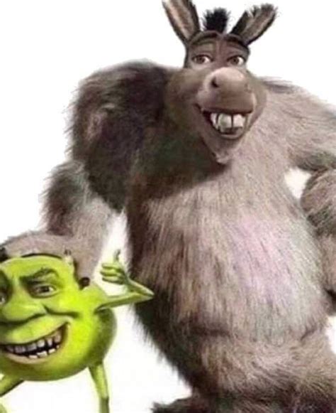 Shrek Gay Lolo And Some Shitty Cursed Images Of Shrek And Random Gay