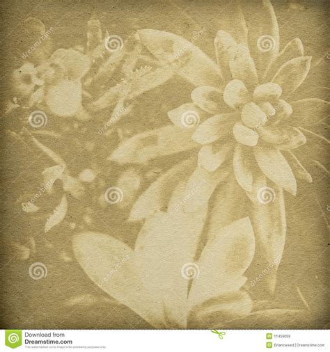 Flower Print Background Royalty Free Stock Images Image 11459059