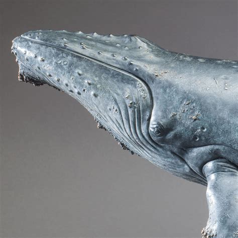Humpback Whale By Nick Bibby 120th Scale Bronze Whale Sculpture