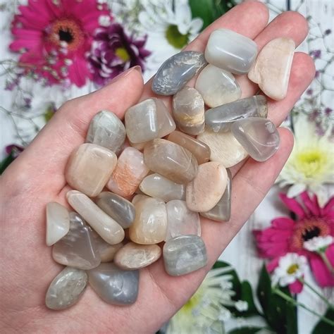Genuine Small Moonstone Crystals Tumbled Moonstone Healing Etsy Hong Kong