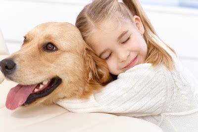 Besides offering high quality services, we strive to: All About Dogs as Pets for Kids