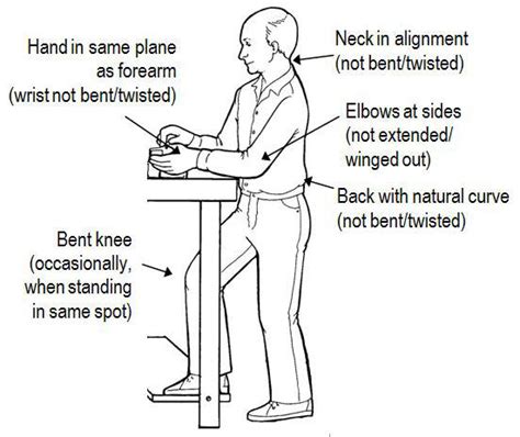 Want to know the optimal desk height and how it positively impacts your posture, health how desk height affects your posture, health & productivity. Optimal Working Posture