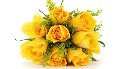 White yellow bouquet flowers roses petals hd flowers. Rose HD Wallpaper | Background Image | 1920x1080 | ID ...