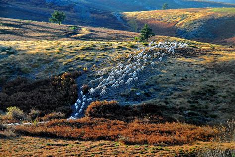 Sélectionnez le type de crédit que vous souhaitez *. Tourisme.fr: vacances en Languedoc-Roussillon avec les ...