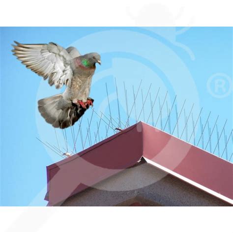 Stainless Steel Anti Bird Spikes E 06 M Repellent From Nixalite With