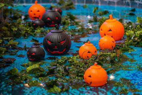 5 Inexpensive Halloween Pool Party Ideas Ultra Modern